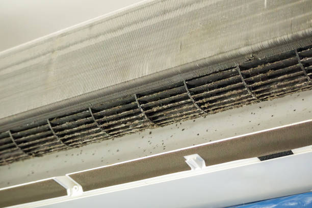 Best Air Quality Test  in Oceano, CA